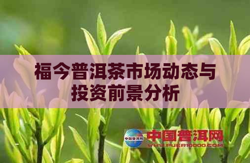 福今普洱茶市场动态与投资前景分析