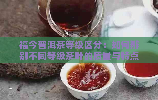 福今普洱茶等级区分：如何辨别不同等级茶叶的质量与特点？一文解析所有疑问