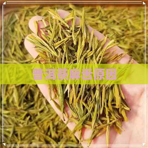 普洱茶麻舌原因