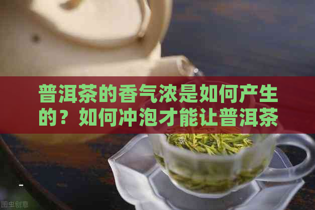 普洱茶的香气浓是如何产生的？如何冲泡才能让普洱茶散发出香气？