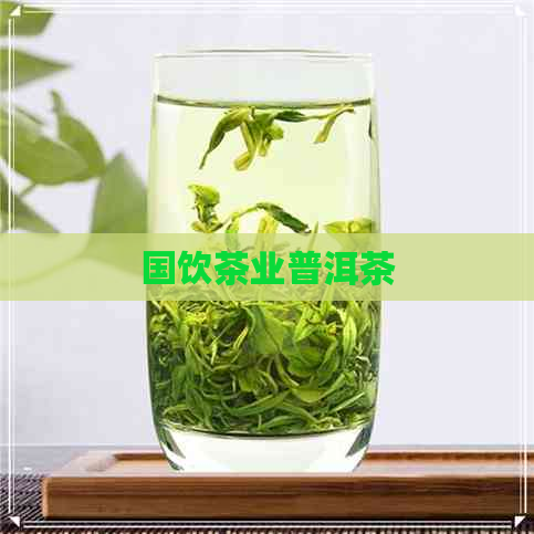 国饮茶业普洱茶