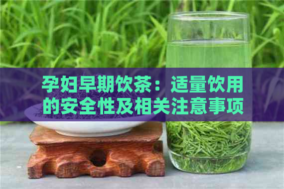 孕妇早期饮茶：适量饮用的安全性及相关注意事项