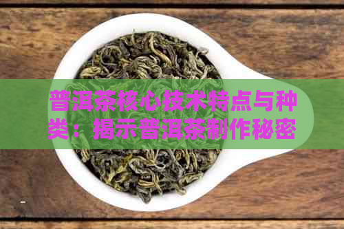 普洱茶核心技术特点与种类：揭示普洱茶制作秘密