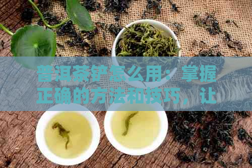 普洱茶铲怎么用：掌握正确的方法和技巧，让你轻松享受普洱茶的美味。