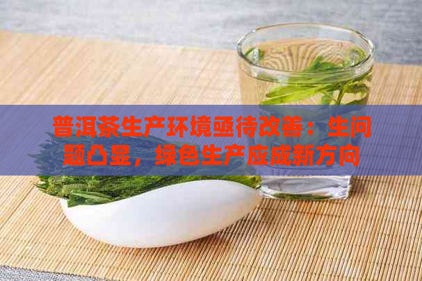 普洱茶生产环境亟待改善：生问题凸显，绿色生产应成新方向