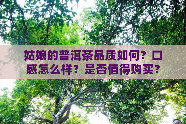 姑娘的普洱茶品质如何？口感怎么样？是否值得购买？