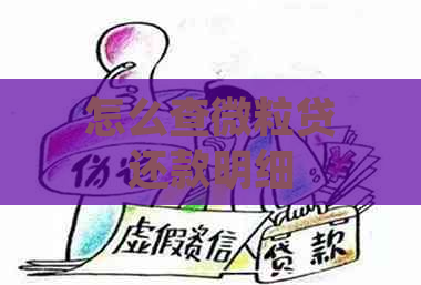 怎么查微粒贷还款明细