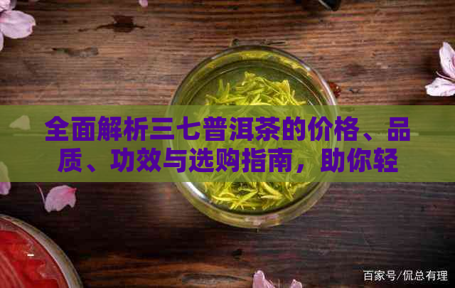 全面解析三七普洱茶的价格、品质、功效与选购指南，助你轻松成为茶叶专家