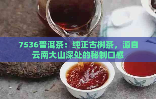 7536普洱茶：纯正古树茶，源自云南大山深处的秘制口感