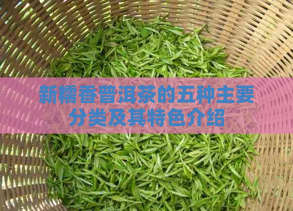 新糯香普洱茶的五种主要分类及其特色介绍