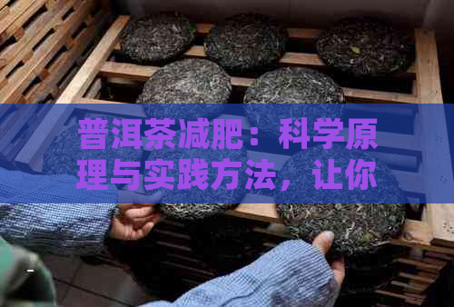 普洱茶减肥：科学原理与实践方法，让你轻松瘦身