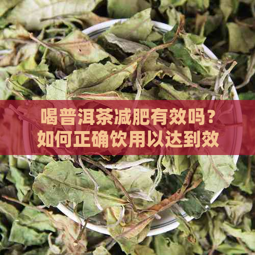 喝普洱茶减肥有效吗？如何正确饮用以达到效果？