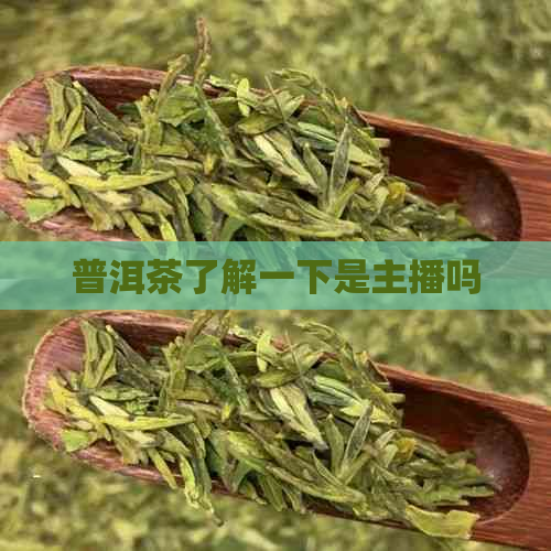 普洱茶了解一下是主播吗