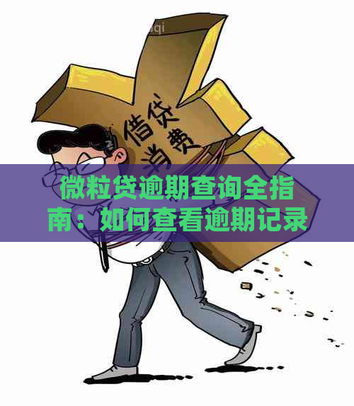 微粒贷逾期查询全指南：如何查看逾期记录、还款方式及逾期处理方法