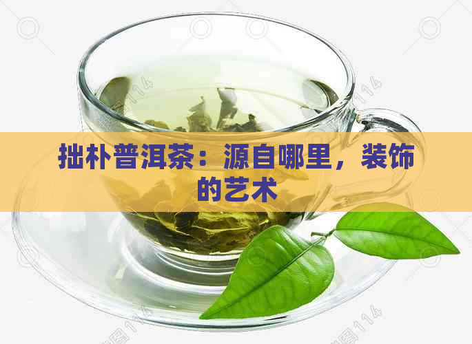 拙朴普洱茶：源自哪里，装饰的艺术