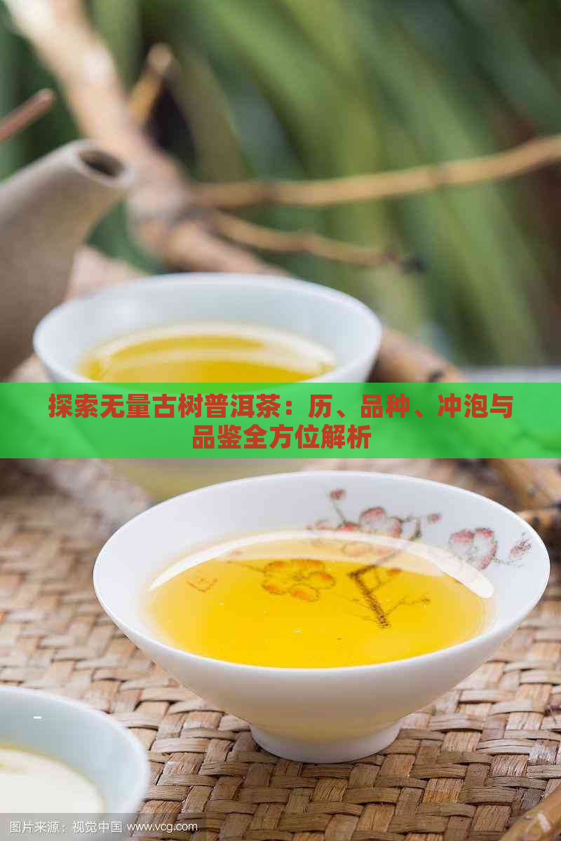 探索无量古树普洱茶：历、品种、冲泡与品鉴全方位解析