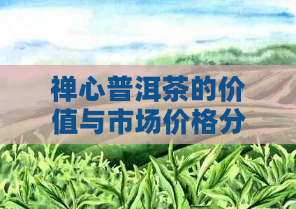 禅心普洱茶的价值与市场价格分析