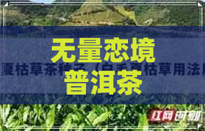 无量恋境普洱茶