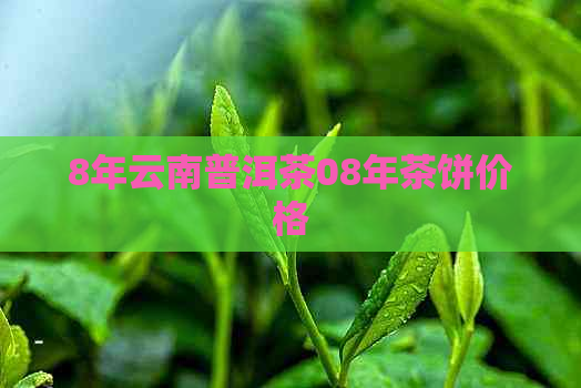 8年云南普洱茶08年茶饼价格