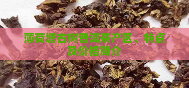 薄荷塘古树普洱茶产区、特点及价格简介