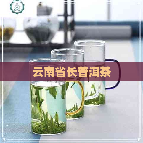 云南省长普洱茶