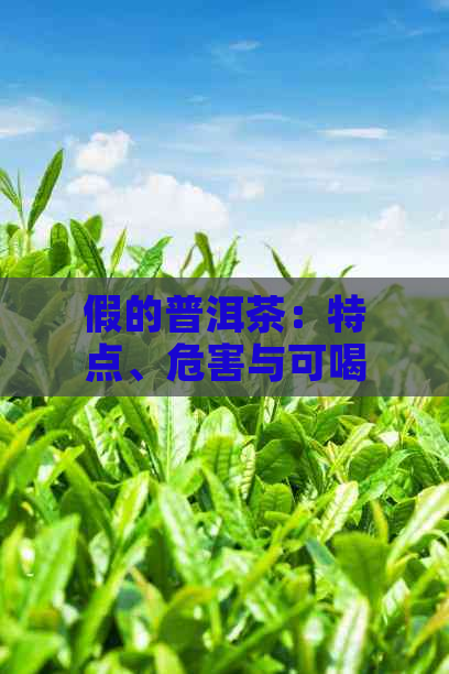 假的普洱茶：特点、危害与可喝性