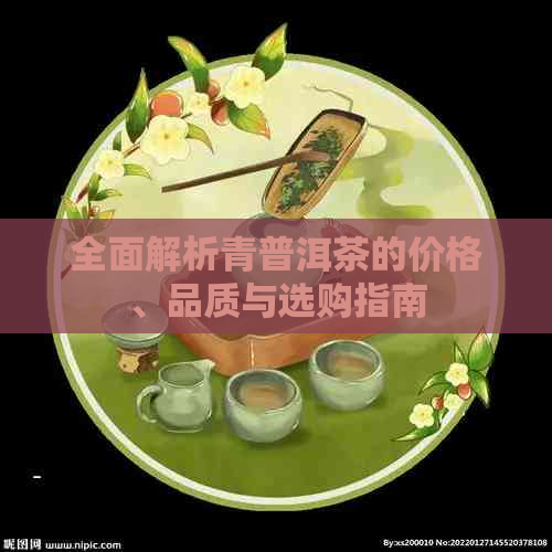 全面解析青普洱茶的价格、品质与选购指南