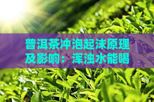 普洱茶冲泡起沫原理及影响：浑浊水能喝吗？泡久了如何处理？