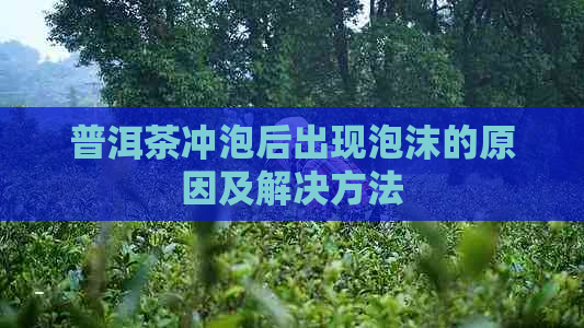 普洱茶冲泡后出现泡沫的原因及解决方法