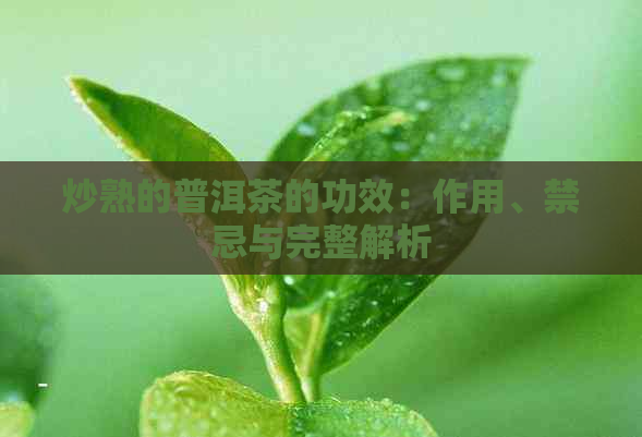 炒熟的普洱茶的功效：作用、禁忌与完整解析