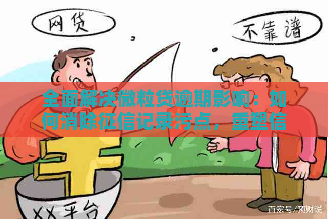 全面解决微粒贷逾期影响：如何消除记录污点，重塑信用修复攻略