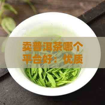 卖普洱茶哪个平台好：优质普洱茶销售与购买指南