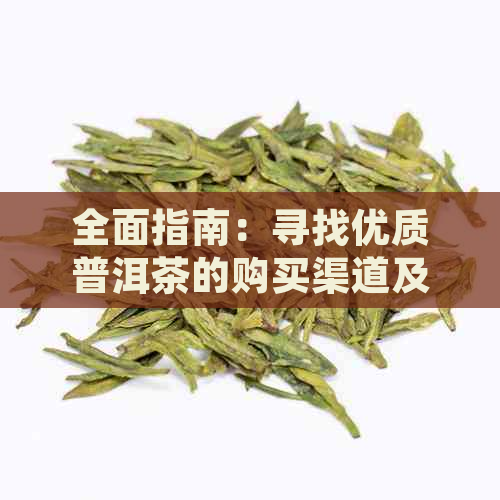 全面指南：寻找优质普洱茶的购买渠道及其网站推荐