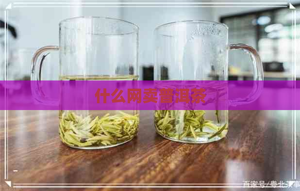 什么网卖普洱茶