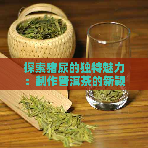 探索猪尿的独特魅力：制作普洱茶的新颖方法与步骤