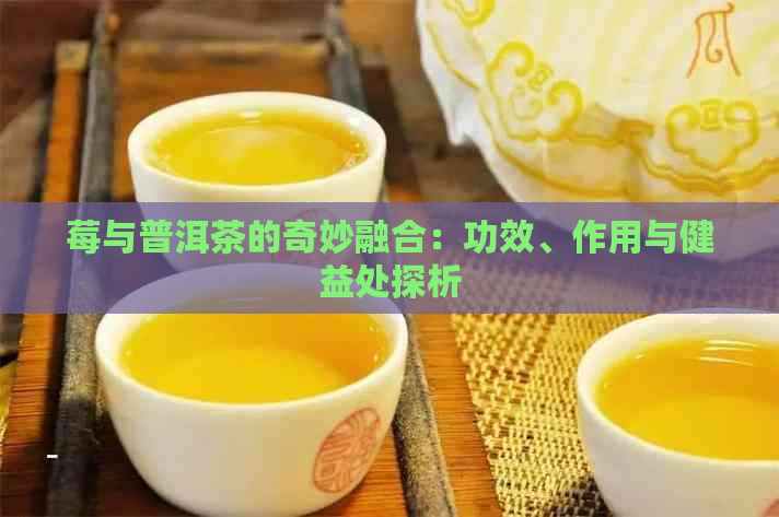 莓与普洱茶的奇妙融合：功效、作用与健益处探析