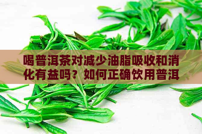 喝普洱茶对减少油脂吸收和消化有益吗？如何正确饮用普洱茶以达到效果？