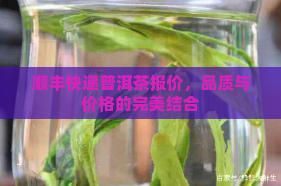 顺丰快递普洱茶报价，品质与价格的完美结合