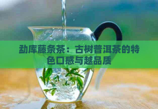 勐库藤条茶：古树普洱茶的特色口感与越品质