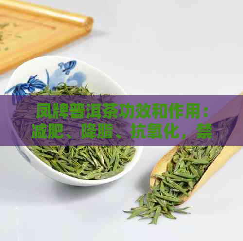 凤牌普洱茶功效和作用：减肥、降脂、抗氧化，禁忌人群需注意。