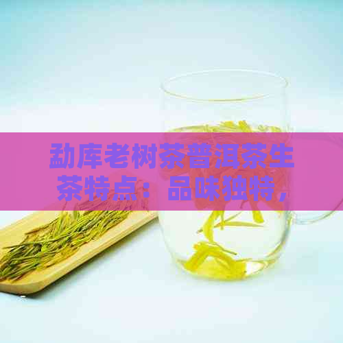 勐库老树茶普洱茶生茶特点：品味独特，品质优良，具有较高的收藏价值。