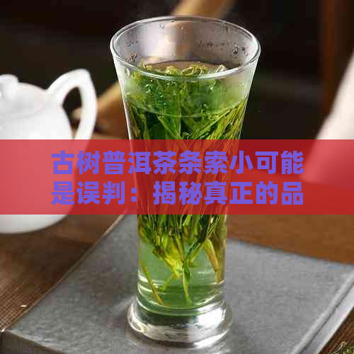 古树普洱茶条索小可能是误判：揭秘真正的品质标准