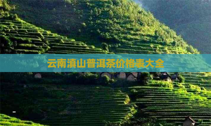 云南滇山普洱茶价格表大全