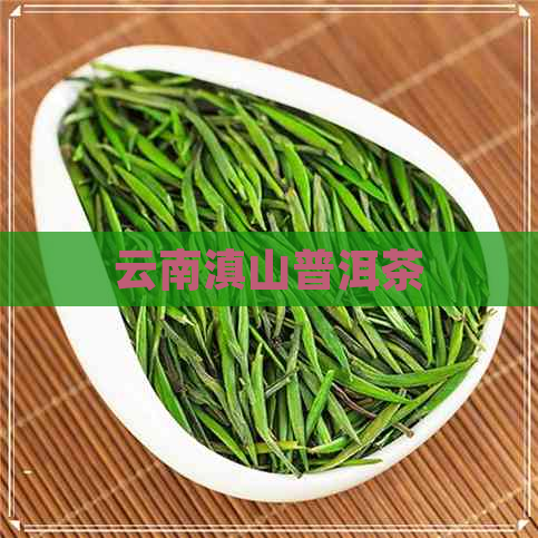 云南滇山普洱茶