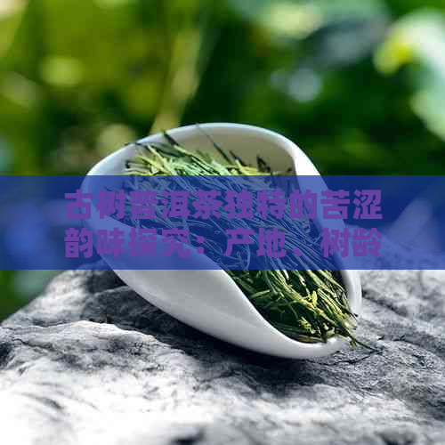 古树普洱茶独特的苦涩韵味探究：产地、树龄与发酵过程的影响