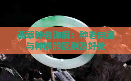 翡翠种老详解：种老肉细与种嫩的区别及好处