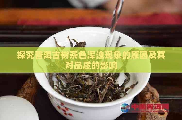 探究普洱古树茶色浑浊现象的原因及其对品质的影响