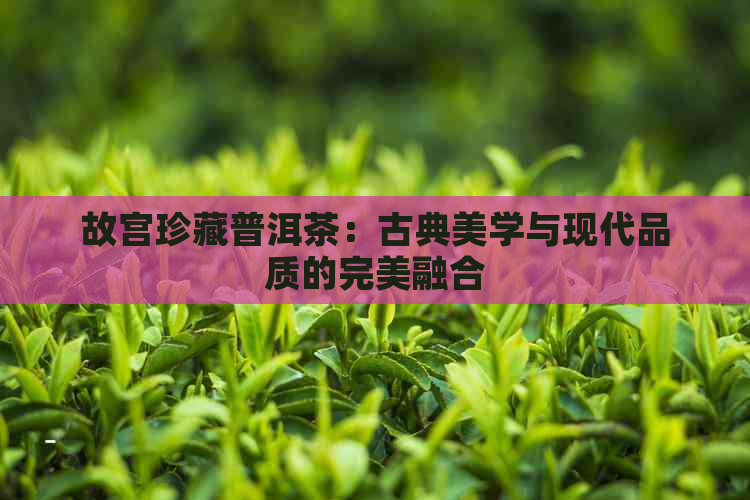 故宫珍藏普洱茶：古典美学与现代品质的完美融合