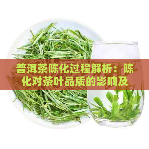 普洱茶陈化过程解析：陈化对茶叶品质的影响及不同阶的特点