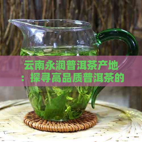 云南永润普洱茶产地：探寻高品质普洱茶的魅力与产区特色